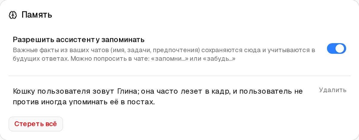 Блок «Память»: включён переключатель «Разрешить ассистенту запоминать», сохранён факт про кошку по имени Глина, кнопки «Удалить» и «Стереть всё»