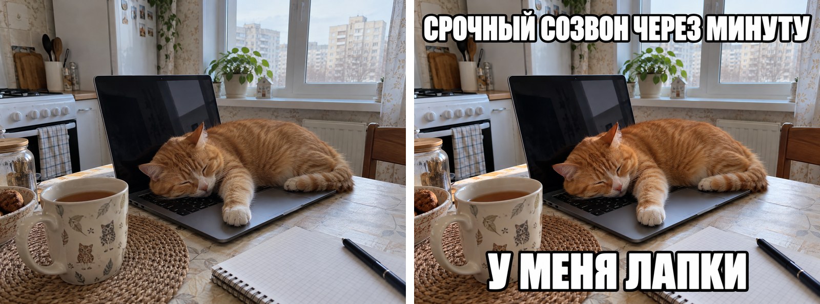 Мем из своего фото нейросетью: слева фото рыжего кота, спящего на клавиатуре ноутбука на кухне, справа то же фото с подписью «Срочный созвон через минуту. У меня лапки»